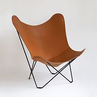 Butterfly Chair
