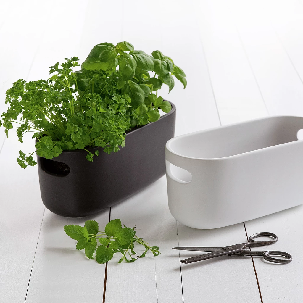 Herb Organiser
