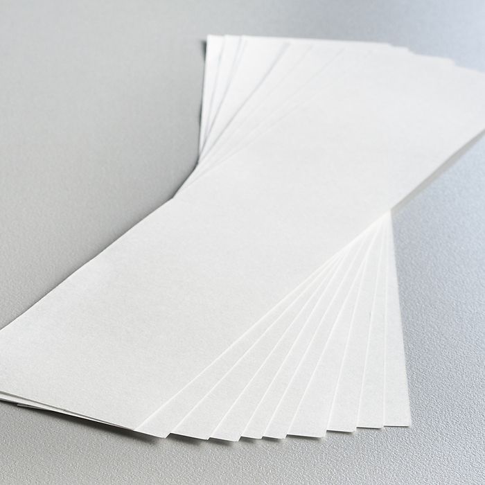 Löschpapier für Löscher Buche