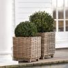 Rattan-Pflanzkörbe 2er-Set - 3
